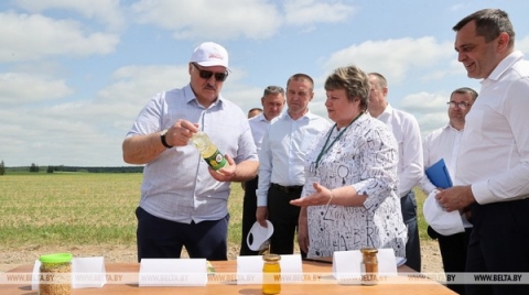 &laquo;Это революция будет на&nbsp;селе&raquo;. На&nbsp;какую сельхозкультуру Лукашенко сделал верную ставку?