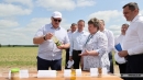 &laquo;Это революция будет на&nbsp;селе&raquo;. На&nbsp;какую сельхозкультуру Лукашенко сделал верную ставку?